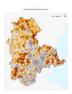 Download the Technical Report