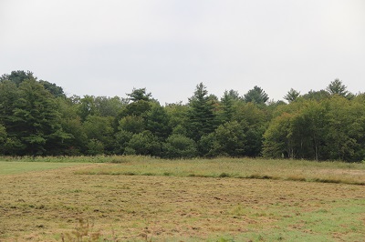 Bloomfield_Pic_0454 - Copy