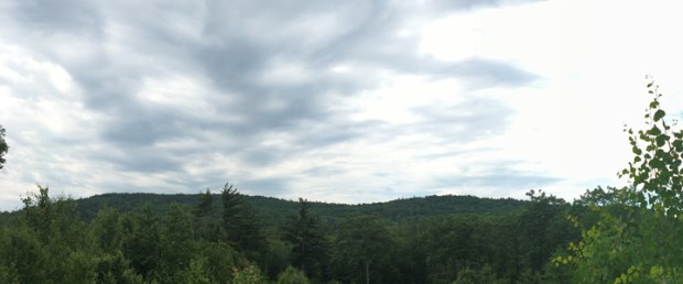 img_2335_cropped10x4