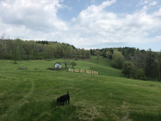 photo1-uppernorthernfield