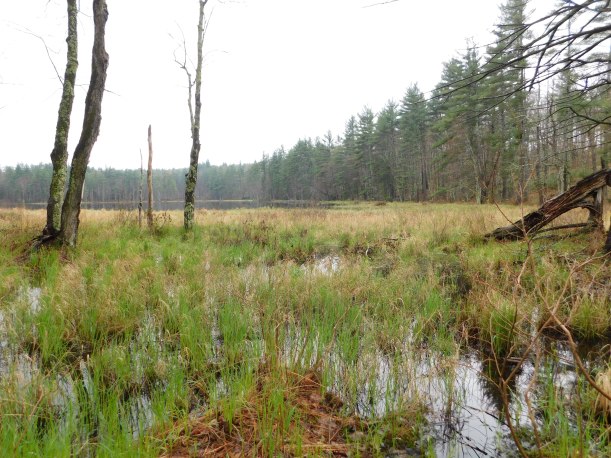 4 Photo 1 Kettle Hole - PLC Nissitissitt Headwaters