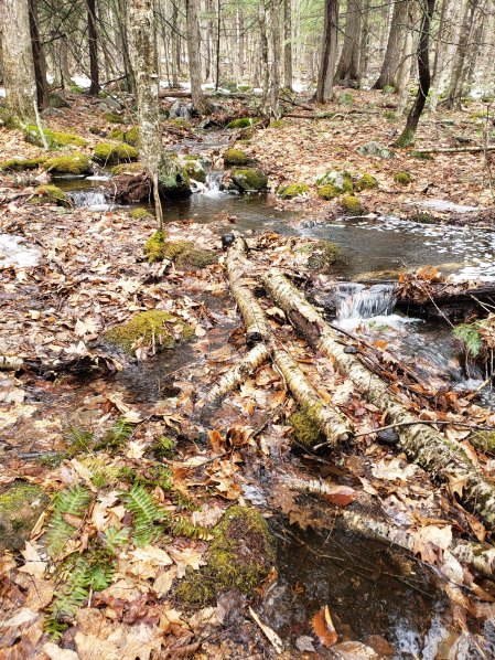 Koerber_headwater_stream