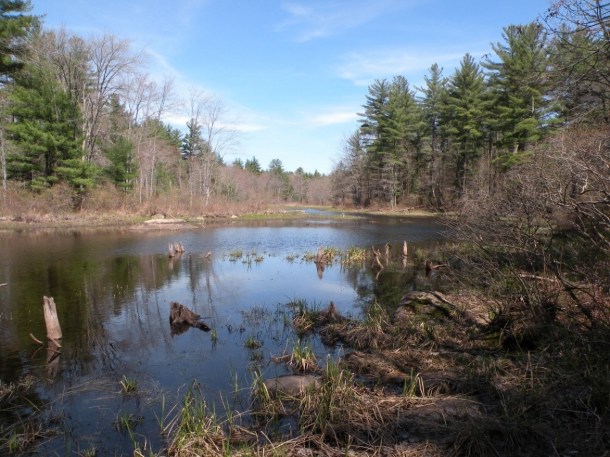 Murray Mill Brook_MCP_Photo 1